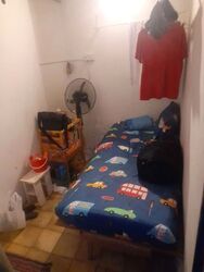 Jalan Singa (D14), Terrace #569773471